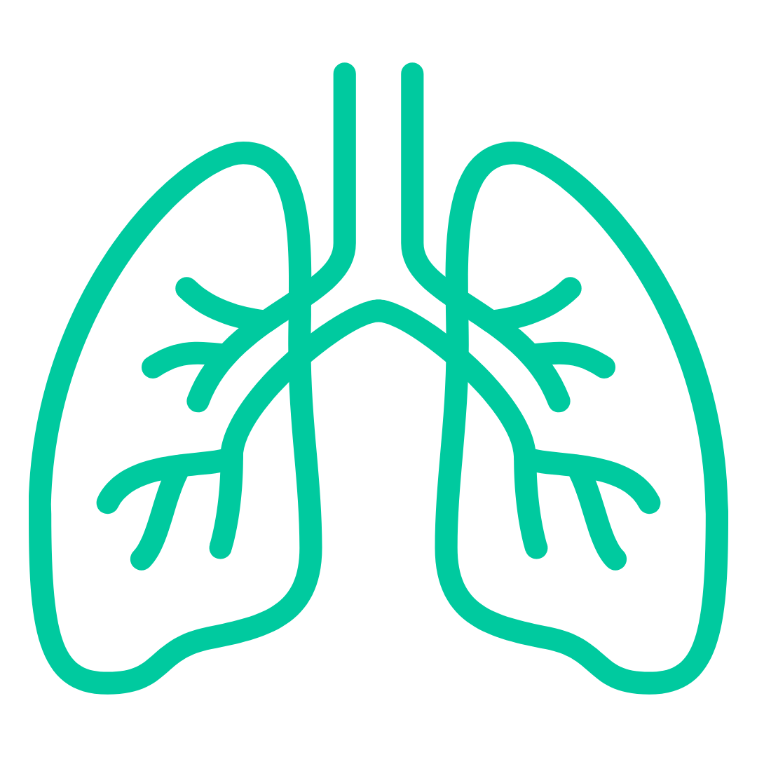 Respiratory icon