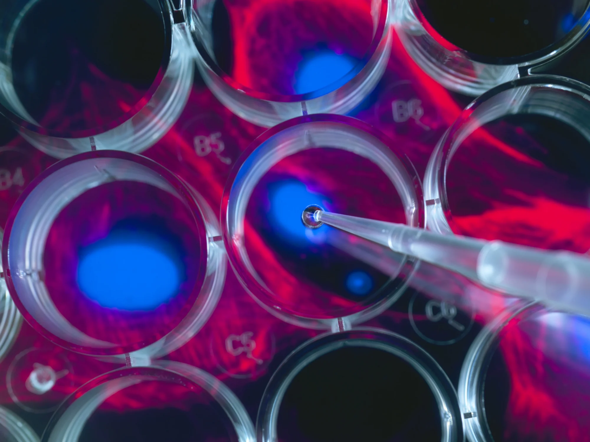 The Power of One: Medical Affairs in Lean Biotech